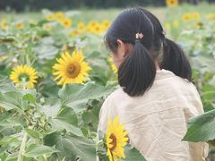 -汉长安城未央宫国家考古遗址公园