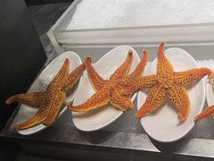 -雍容荟活帝王蟹活龙虾自助(苏宁旗舰店)