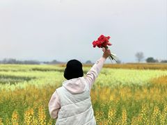 -白鹭湾湿地公园