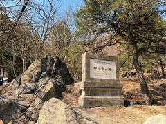 -白水寺森林公园