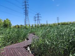 -永定河休闲森林公园