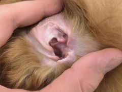 -comecome来吧宠物(奥克斯中心店)