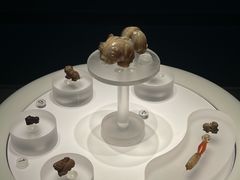 -广西壮族自治区博物馆