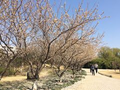 -山东理工大学