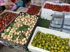 -南坛综合农贸市场