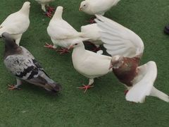 -华谊兄弟（长沙）电影小镇