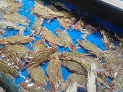 -炊江南·上海菜(国展华漕店)