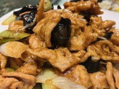 -凯鸽酒楼(大同振兴街店)