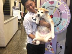 -宠爱国际动物医院·消化内科·心肾内科·ISFM猫友好(望京店)