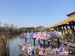 -溱湖国家湿地公园