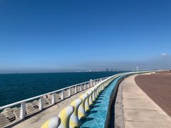 -海花岛旅游度假区