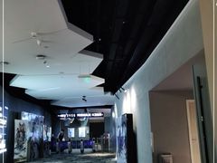 -星河寰宇IMAX影城(星河WORLD·COCO Park店)