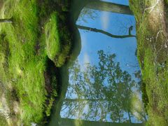 -西芳寺(苔寺)
