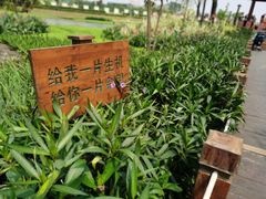 -那考河湿地公园
