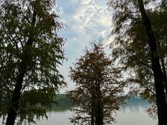 -海珠湖公园