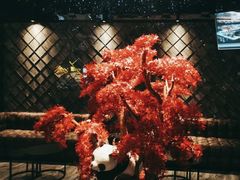 -红辣椒·川菜·火锅(科华路店)