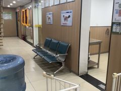 -米苏动物医院·犬猫专科·骨科外科内窥镜