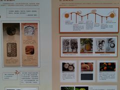 -上海交通大学董浩云航运博物馆