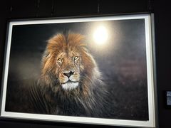 -罗红摄影艺术馆