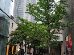 -徐家汇源景区-衡山坊