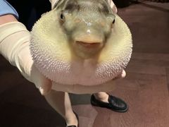 -肆月河豚·淮扬菜·湘菜(华天店)