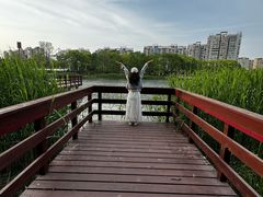 -新江湾城公园