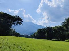 -罗浮山嘉宝田森林温泉度假酒店