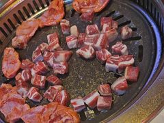 -杨记齐齐哈尔烤肉(总店)