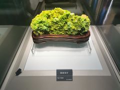 -安徽省地质博物馆