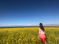 -青海湖国家重点风景名胜区