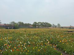 -江苏三台山国家森林公园