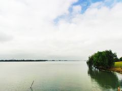 -漕湖湿地公园