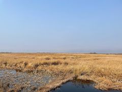 -野鸭湖国家湿地公园