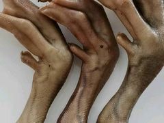 -惠州金海湾嘉华度假酒店