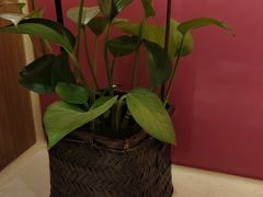 -庄隐阁(悠方广场店)