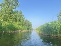 -白洋淀风景区