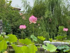 -春色如许·茶食餐厅(桃李春风店)
