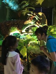 -恐龙探索乐园(磁器口店)