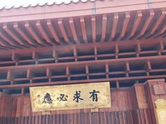 -深圳仙湖植物园
