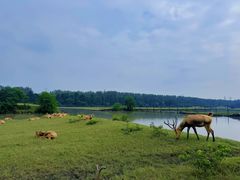 -溱湖国家湿地公园