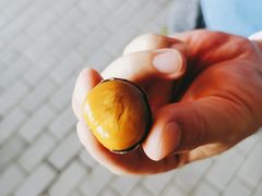 -阿男野栗王(金门路店)