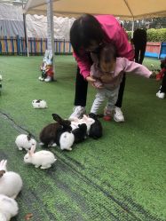 -萌宠亲子动物乐园(槐房万达店)