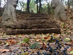 -采石矶景区
