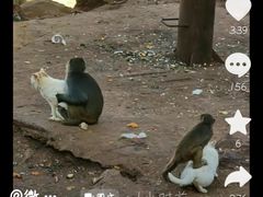 -昆明动物园