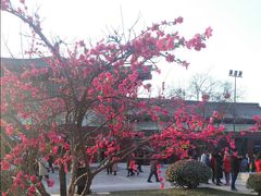 -大雁塔北广场音乐喷泉