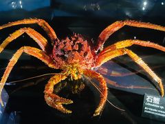 -同济大学四平路校区深海探索馆