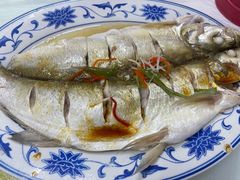 清蒸白水鱼-状元楼(金溪路店)