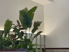 -有位虾匠·香辣蟹·小龙虾(李村店)