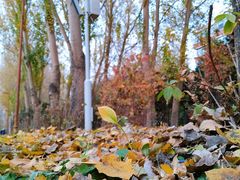 -长春公园(普阳街道)