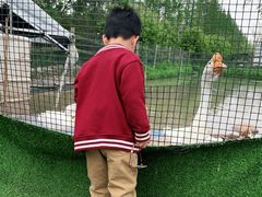 -前小桔亲子创意农场·草莓采摘·露营烧烤